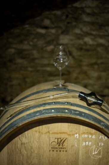 Photographe viticole / Photographe vin pour le domaine lefort à Rully / Bourgogne