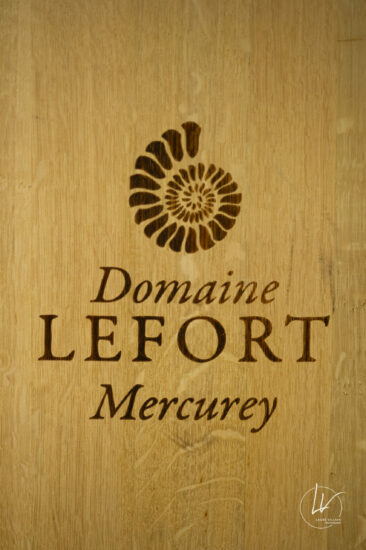 Photographe viticole / Photographe vin pour le domaine lefort à Rully / Bourgogne