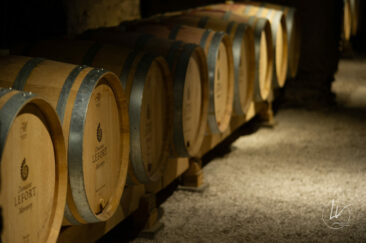 Photographe viticole / Photographe vin pour le domaine lefort à Rully / Bourgogne