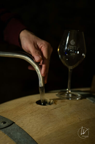 Photographe viticole / Photographe vin pour le domaine lefort à Rully / Bourgogne