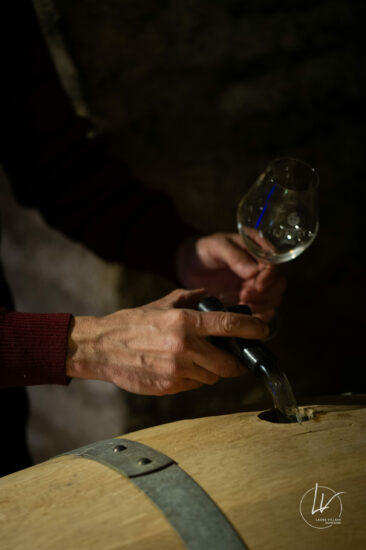 Photographe viticole / Photographe vin pour le domaine lefort à Rully / Bourgogne