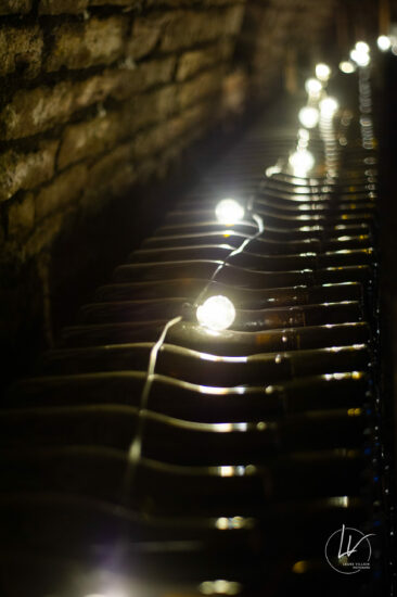 Photographe viticole / Photographe vin pour le domaine lefort à Rully / Bourgogne