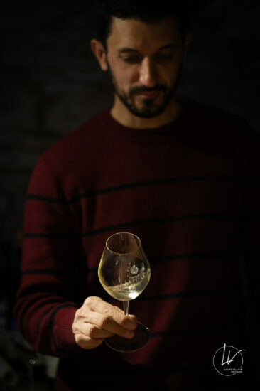 Photographe viticole / Photographe vin pour le domaine lefort à Rully / Bourgogne