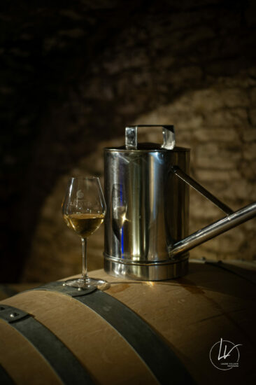 Photographe viticole / Photographe vin pour le domaine lefort à Rully / Bourgogne
