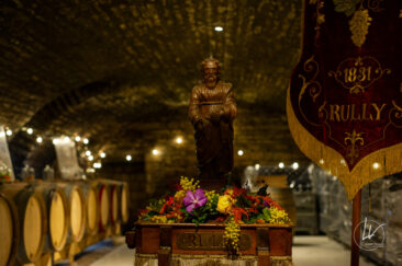 Photographe viticole / Photographe vin pour le domaine lefort à Rully / Bourgogne