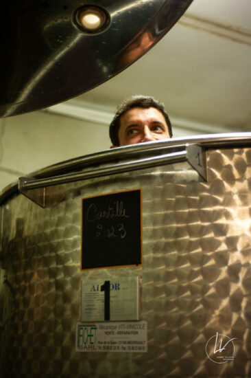 Photographe viticole / Photographe vin pour le domaine lefort à Rully / Bourgogne