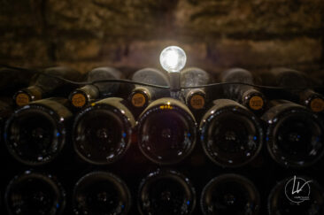 Photographe viticole / Photographe vin pour le domaine lefort à Rully / Bourgogne