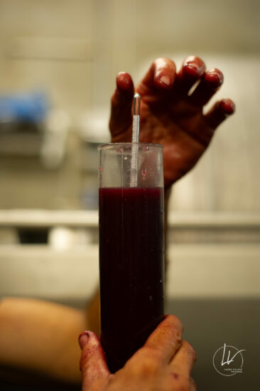 Photographe viticole / Photographe vin pour le domaine lefort à Rully / Bourgogne