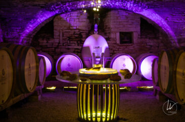 Photographe viticole / Photographe vin pour le domaine lefort à Rully / Bourgogne