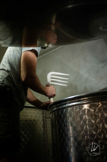 Photographe viticole / Photographe vin pour le domaine lefort à Rully / Bourgogne