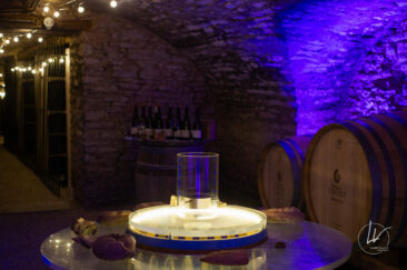 Photographe viticole / Photographe vin pour le domaine lefort à Rully / Bourgogne