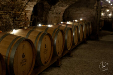 Photographe viticole / Photographe vin pour le domaine lefort à Rully / Bourgogne