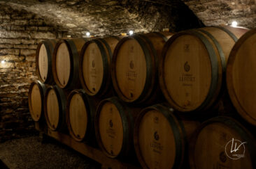 Photographe viticole / Photographe vin pour le domaine lefort à Rully / Bourgogne