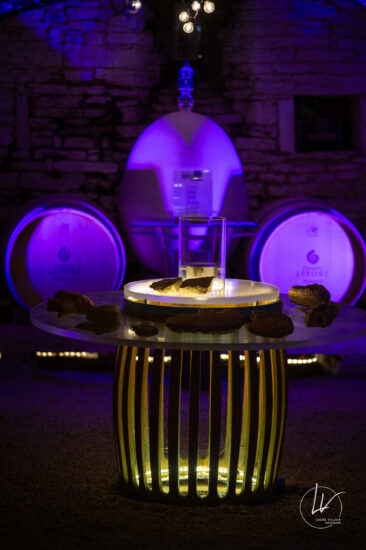 Photographe viticole / Photographe vin pour le domaine lefort à Rully / Bourgogne