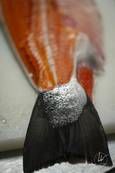 Photographe culinaire - Reportage métier fumage saumon fumé Label Rouge - Fumage de Bourgogne (71)
