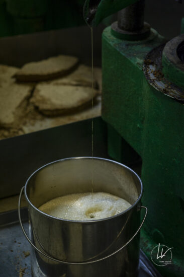 Photographe produits & reportage métier Huilerie Beaujolaise