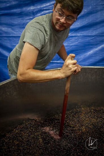 Shooting photo Domaine Barolet Pernot - photographe vin Bourgogne - Dans la cuverie pendant les vendanges
