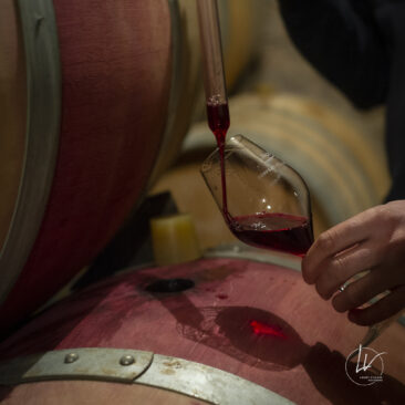Shooting photo Domaine Barolet Pernot - photographe vin Bourgogne