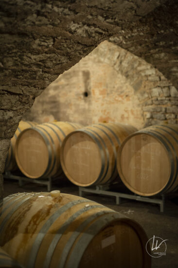 Shooting photo Domaine Barolet Pernot - photographe vin Bourgogne
