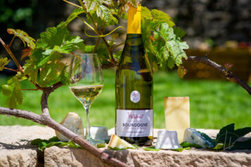 Ambiances bouteilles & accords mets et vins : un shooting pour Millebuis