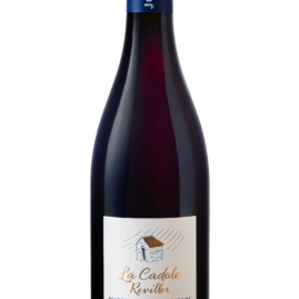 packshot-bouteille-domaine-eveche