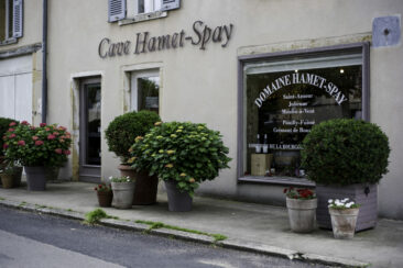 Photographe viticole Bourgogne Beaujolais - reportage photographique au domaine hamet spay
