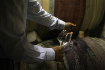 Photographe viticole Bourgogne Beaujolais - reportage photographique au domaine hamet spay