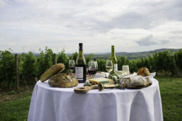 Photographe viticole Bourgogne Beaujolais - reportage photographique au domaine hamet spay