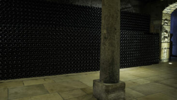 Photographe viticole Bourgogne Beaujolais - reportage photographique au domaine hamet spay