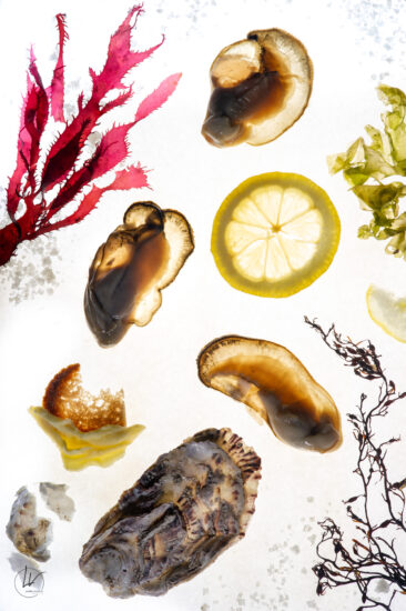 Photographie culinaire - Cuisine avec enfants