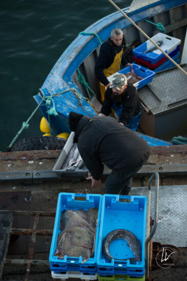 Photographie port de pêche Guilvinec