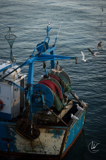 Photographie port de pêche Guilvinec