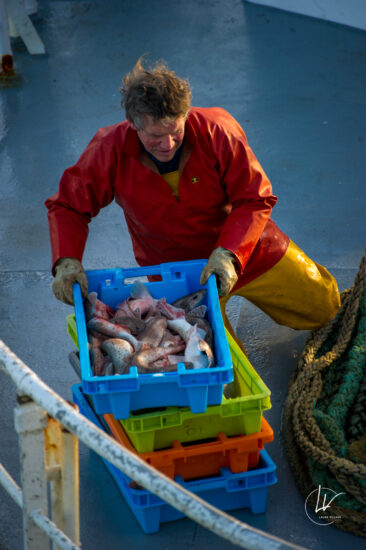 Photographie port de pêche Guilvinec