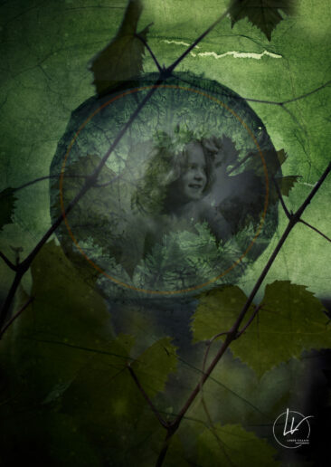 Bouzeron - Enfance sauvage, féérie des forêts © Laure Villain © Robert Demachy / coll. musée Nicéphore Niépce